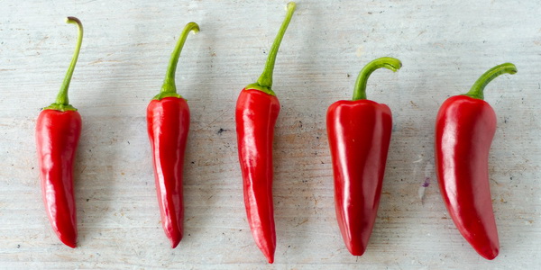 row of chili peppers
