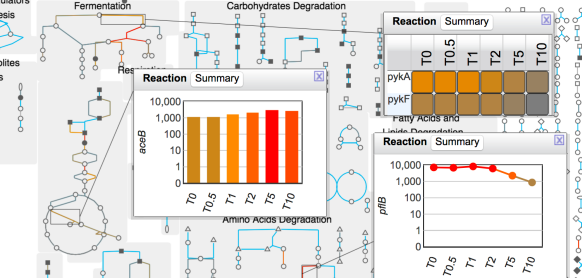 a portion of a cellular overview diagram,
			  overlaid with a gene expression time series
			  dataset. Detail popups are shown for three
			  reactions in three different styles: a bar
			  chart, a heatmap, and a line graph.
